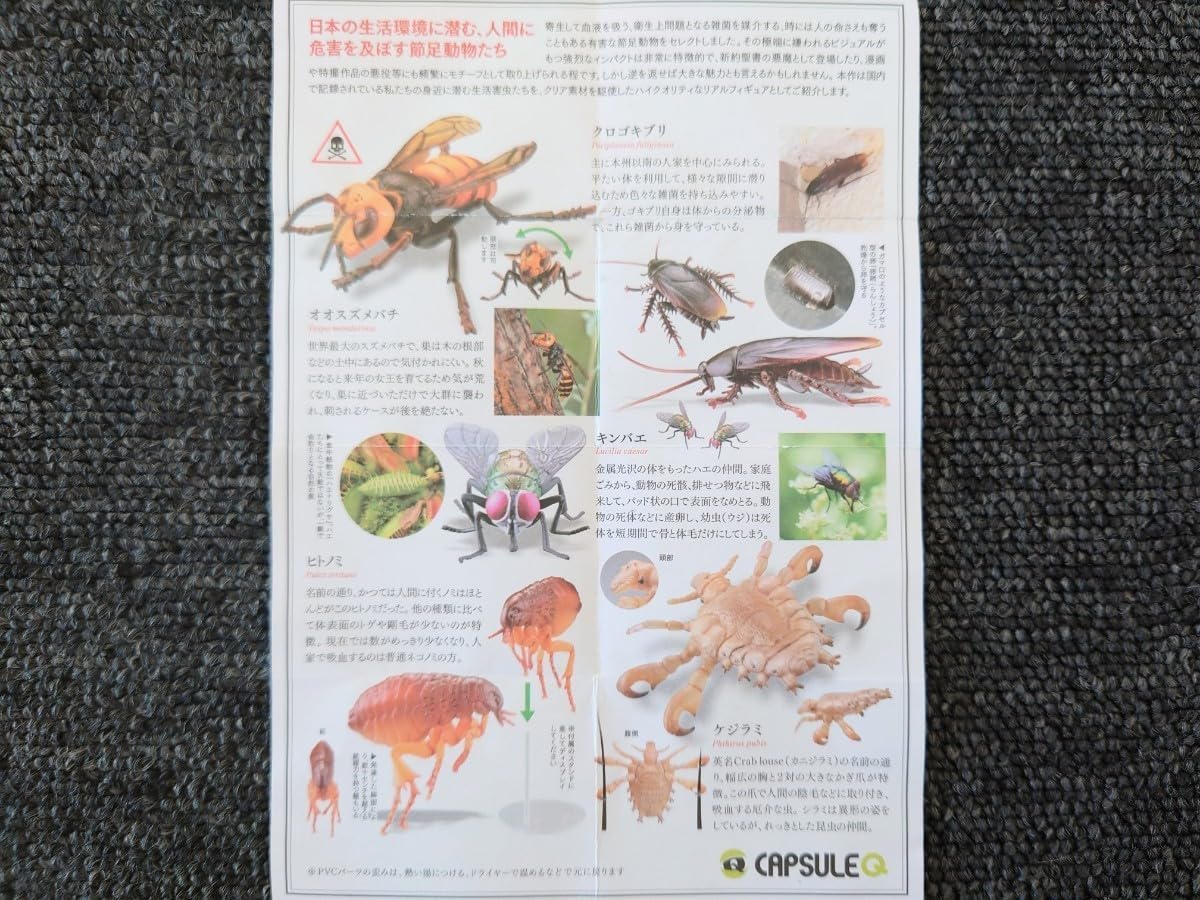 Amazon.co.jp: カプセルQ 衛生害虫博覧会 身近に潜む生活害虫