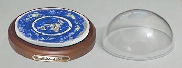 Flat Earth Map Dome Display Model