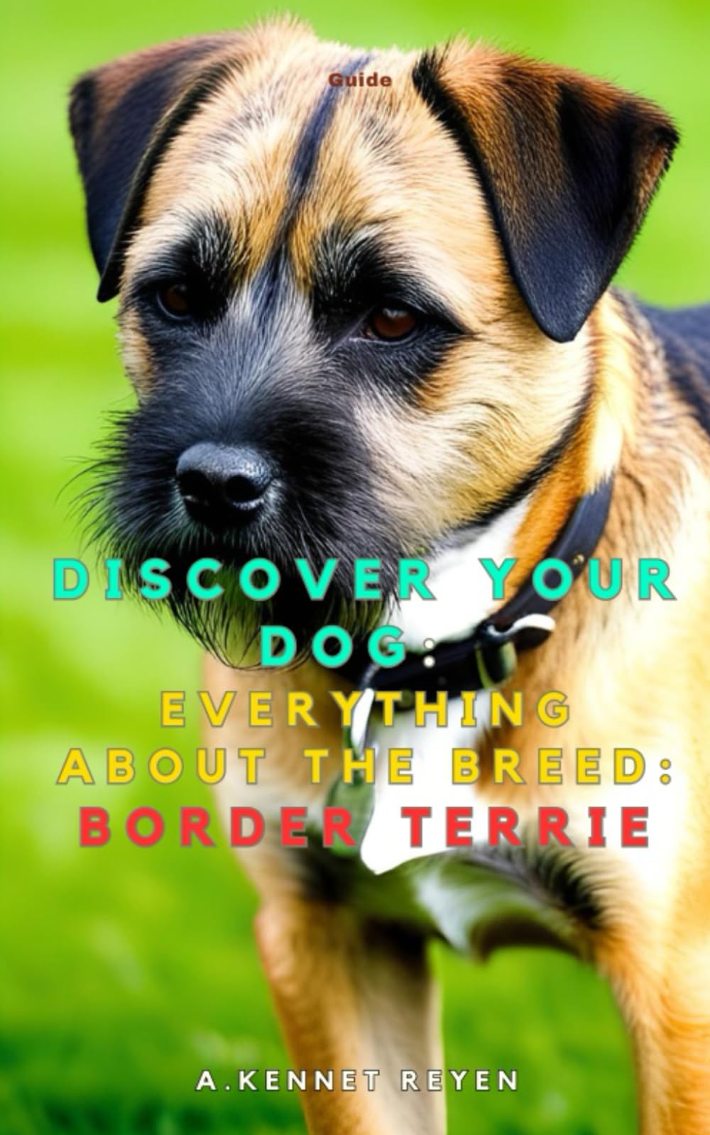 Discover your dog: Everything about the breed: Border Terrier
