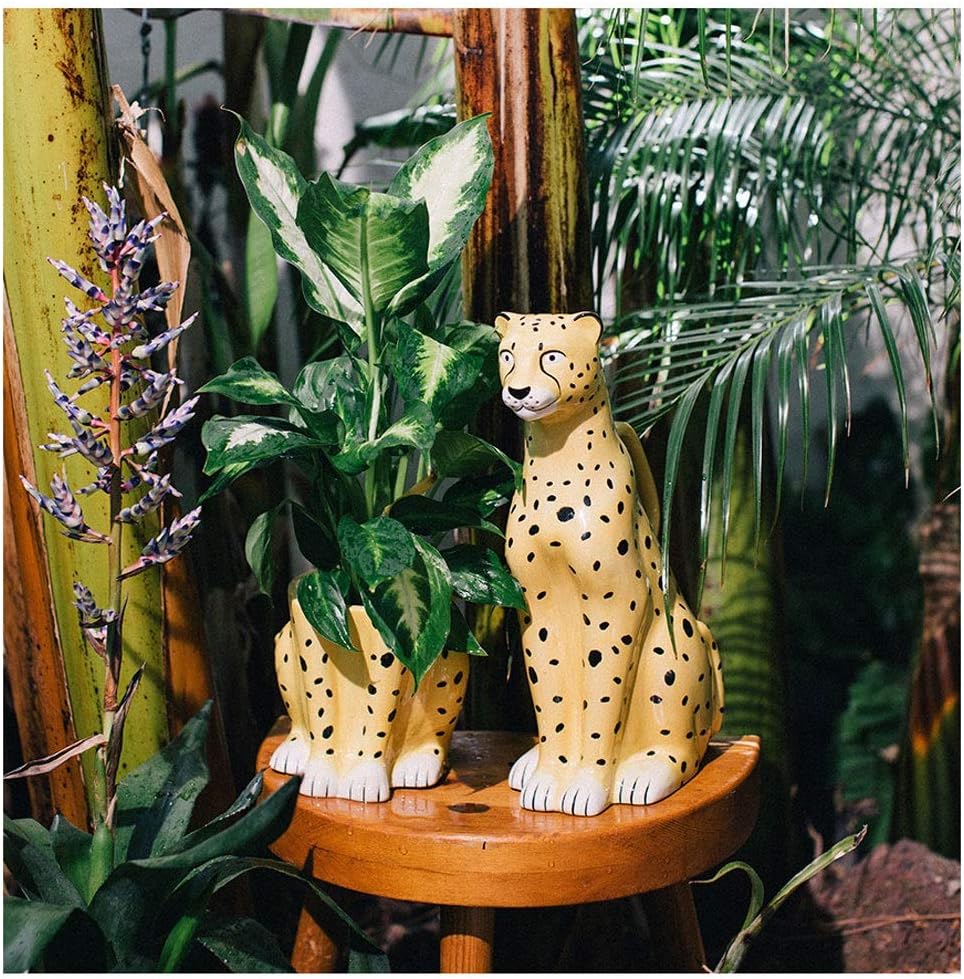 Watering Can Ceramic Watering Pot Outdoor Indoor Watering Cans for House Plants Watering Spout Indoor Flower Watering Pot (Color : Flower Pot+Watering can A)