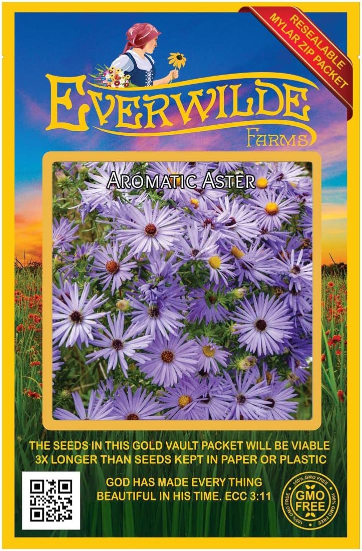 Everwilde Farms - 1/4 Lb Aromatic Aster Native Wildflower Seeds - Gold Vault