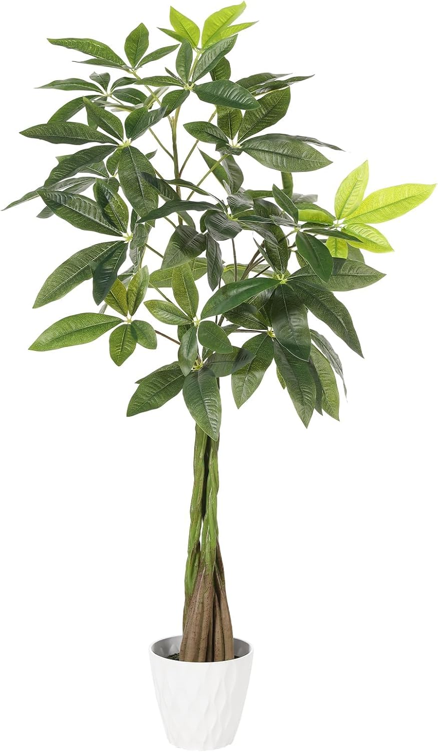 FEELEAD パキラ 観葉植物 フェイ
