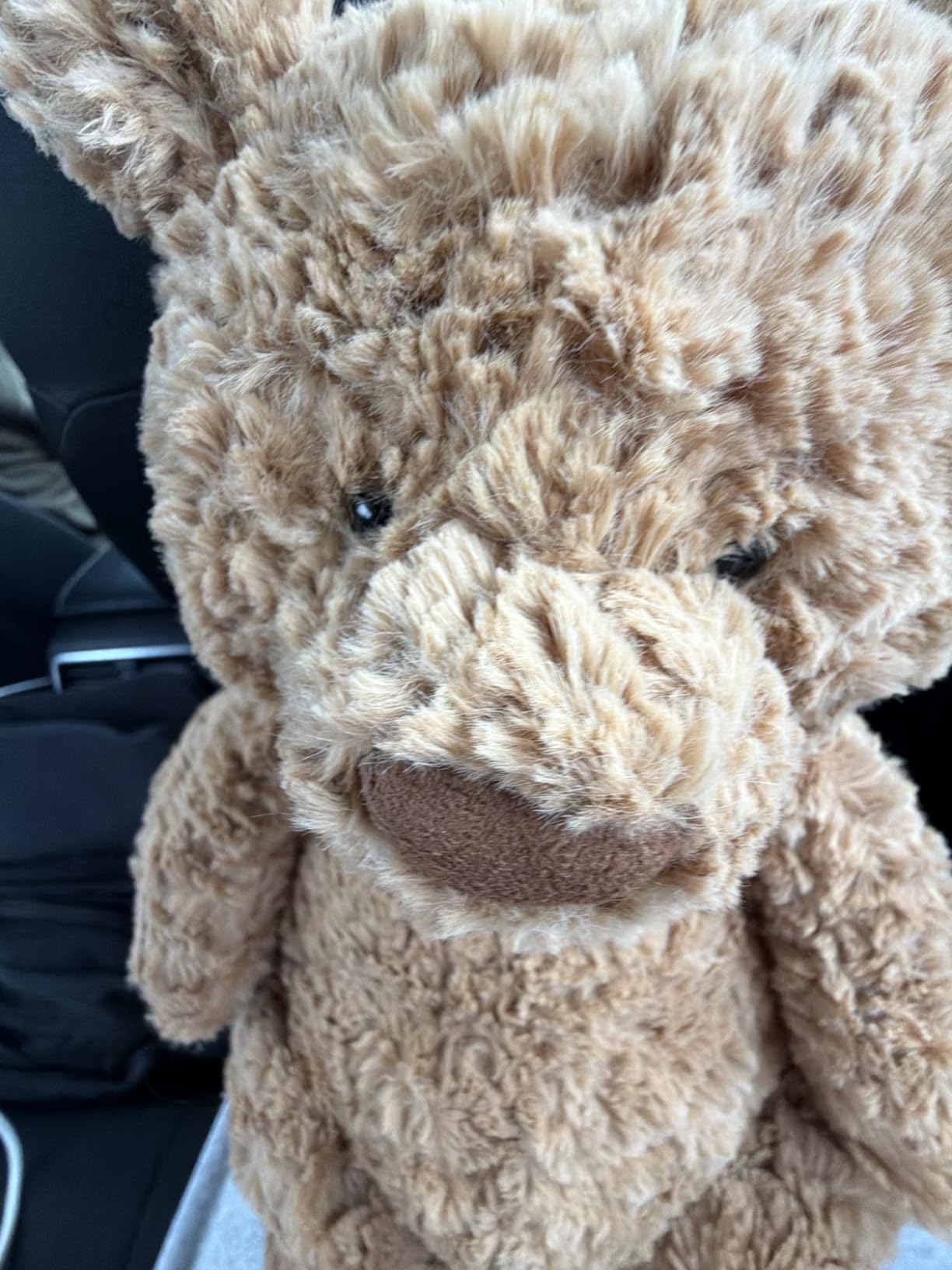 Jellycat Bartholomew Bear - Medium ao Melhor Preço