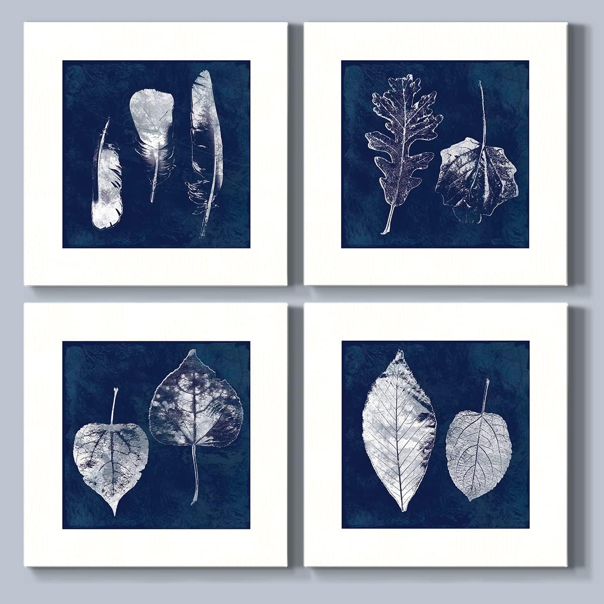 Cyanotype Feather