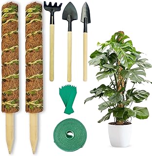 Moss Pole for Monstera Plant Support Stakes 15.75 Inch - 2 Pcs Coir Totem Pole with Mini Gardening Tools, Labels Plant Ties Moss Pole for Cheese Plant