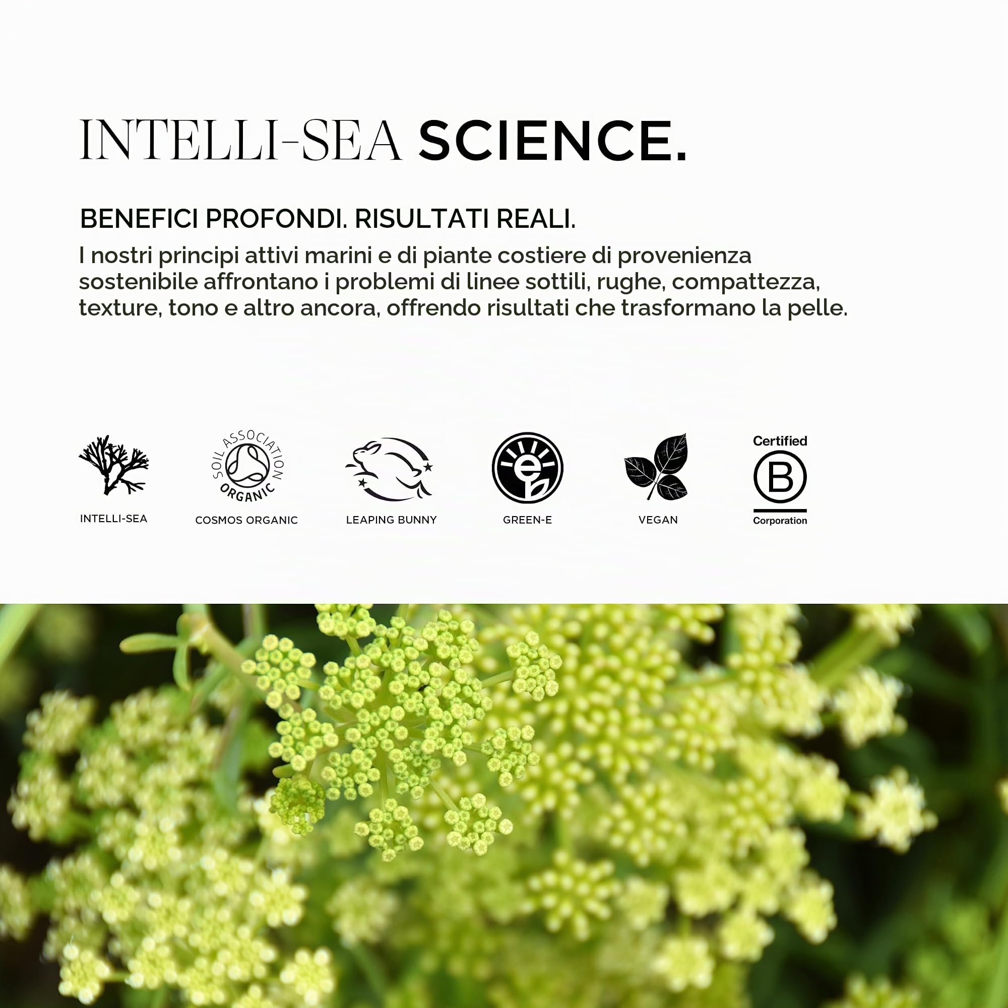 Intelligent Nutrients Time Traveler, Sierio viso con Formula Organica Anti-Age con Bio-Retinolo, Favorisce il Rinnovo Cellulare, attenua le macchie scure, 30ml