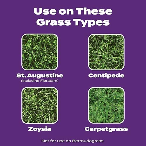 Miniatura 31 de Scotts Turf Builder Bonus S Southern Weed & Feed2, herbicida y fertilizante para césped, 5,000 pies cuadrados, 17.24 libras (paquete de 2)