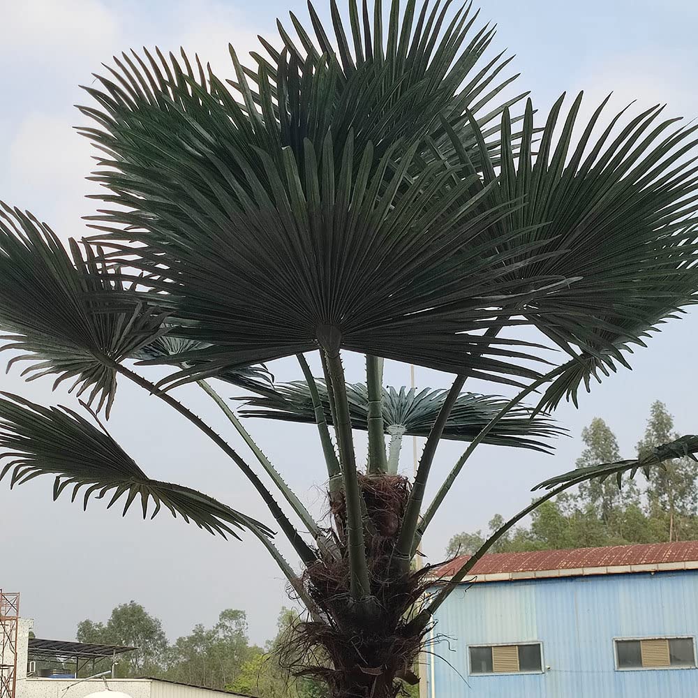 Amazon.co.jp: 大きな針ヤシの緑の植物偽りの木バイオニック植物屋内
