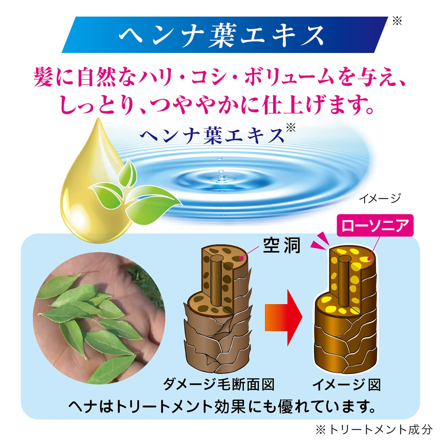 Amazon | テンスター カラーシャンプーDBR詰替 260ML | テンスター