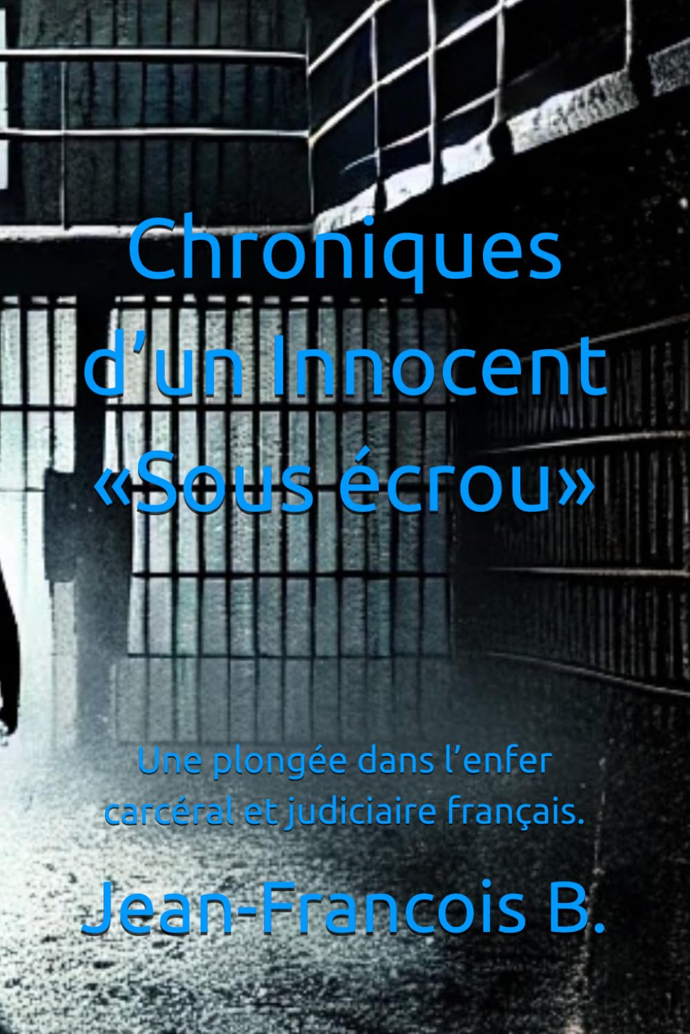 Chroniques d’un Innocent « Sous écrou »: Une plongée dans l’enfer carcéral et judiciaire français.: 1 (Jean-Francois B)