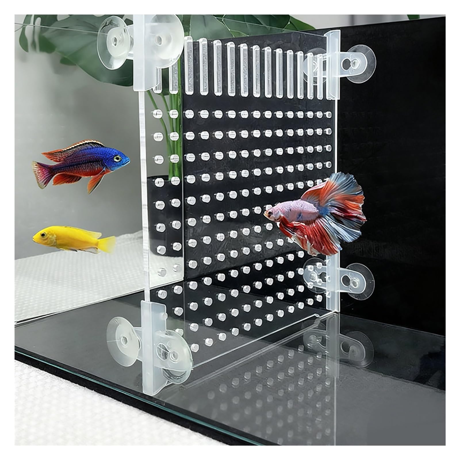 Séparateur d'aquarium, séparateur réglable découpable pour aquarium, plaque de protection pour cloisonner Betta et poissons malades
