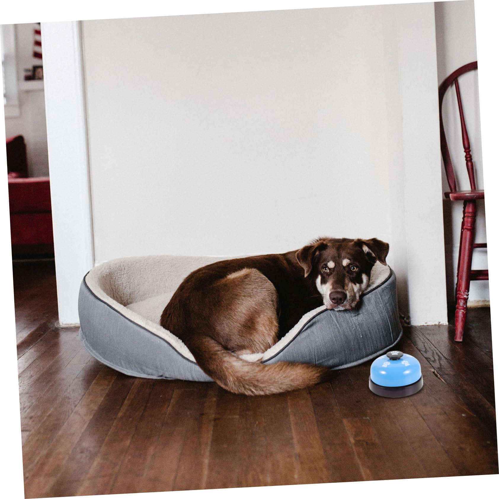 Didiseaon Dog Interactive Puppy Toy Pet Training Press Bell Portable Easy to Use Non-Skid Base