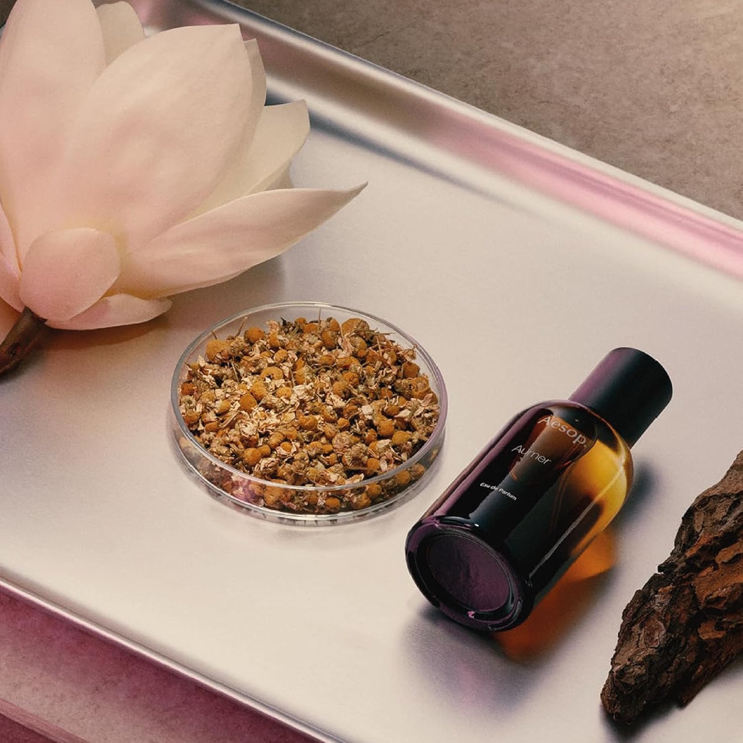 Amazon.com : Aesop Ouranon Eau de Parfum | Woody, Spicy, and