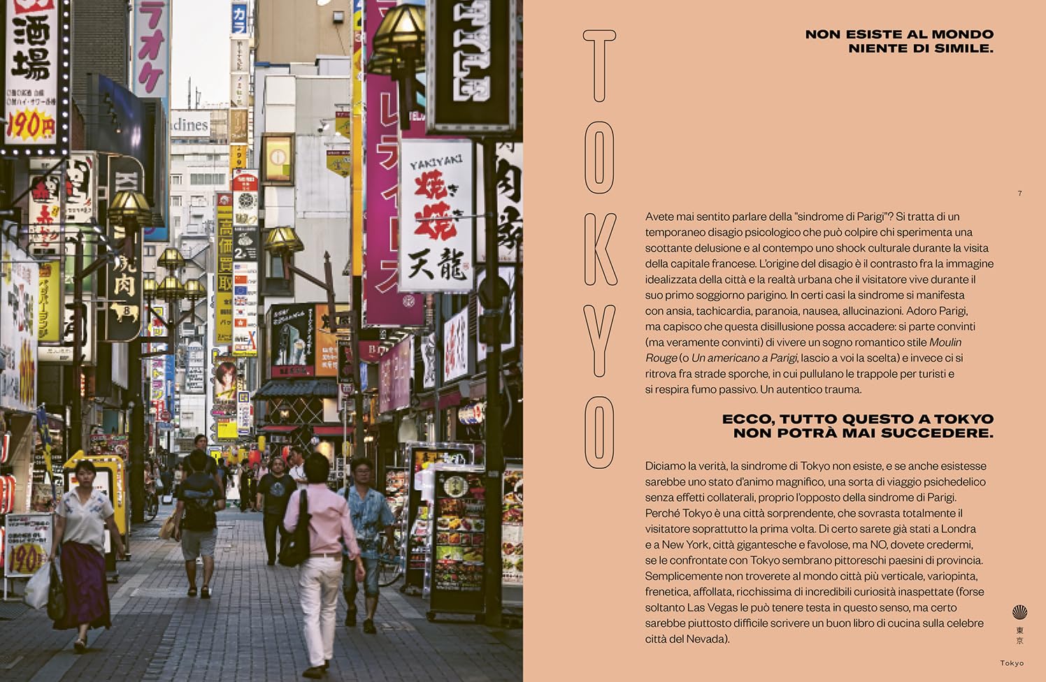 Tokyo stories. Storie e ricette giapponesi