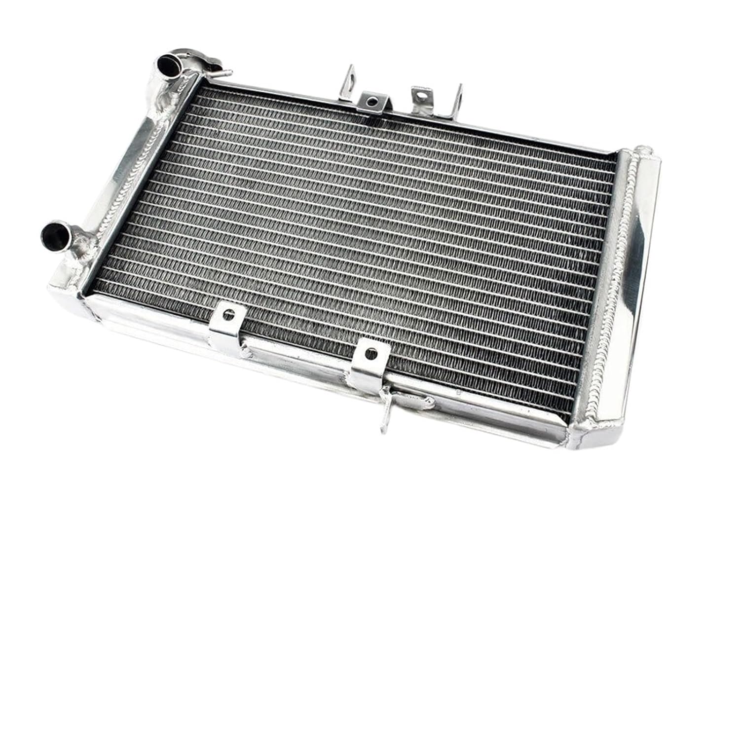 BIKINGBOY Engine Radiator Cooling Water Cooler Compatible with Tiger 800 10 11 12 13 14 15 16 17 1050 06-20 07 08 09 18 19 Aluminium(Tiger 1050 06-20)