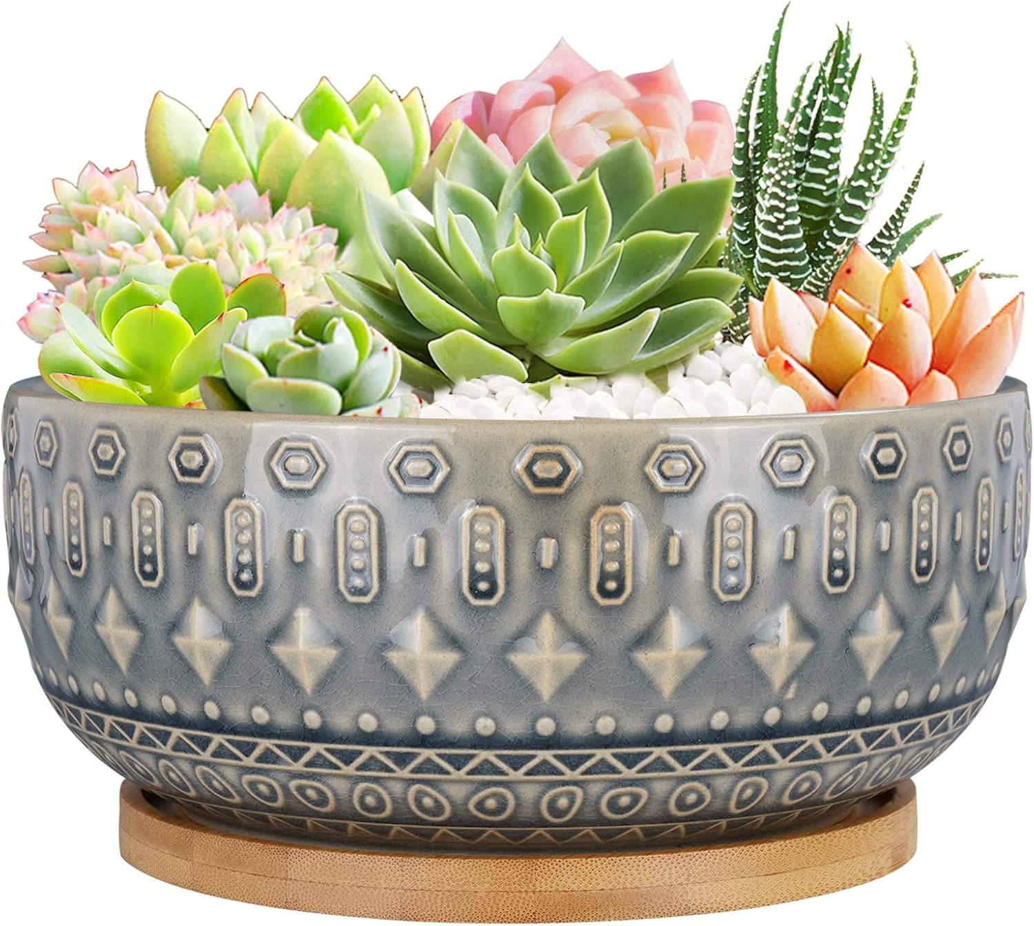 8 Inch Ceramic Succulent Planter Pots with Drainage Hole Flower Pot for Indoor Plants Round Shallow Bonsai Pot with Bamboo Tray Blue