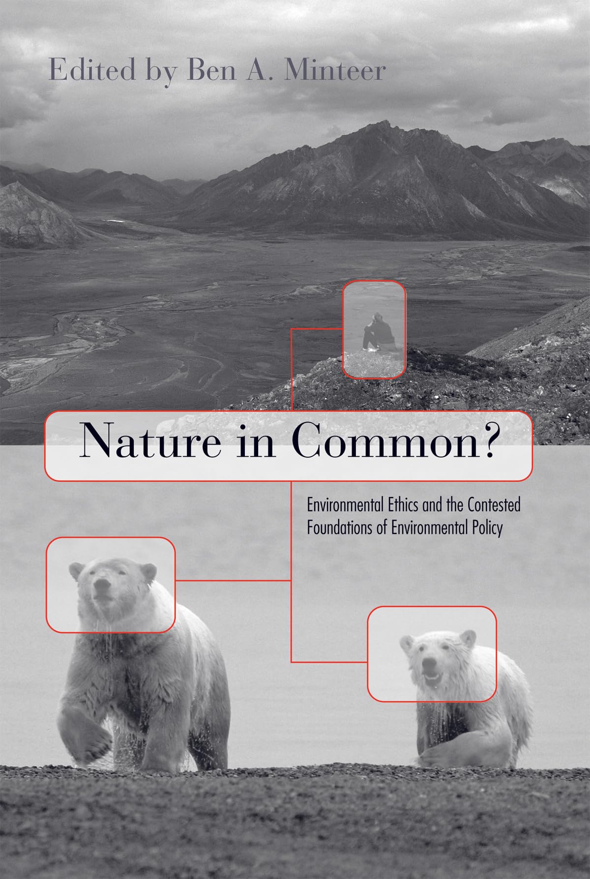 Buy Nature in Common?: Environmental Ethics and the Contested Foundations of Environmental Policy โ BookShops.in
