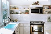 Vista 7 de Air Plant Shop Terrario de manzana con kit de guijarros y plantas de aire Tillandsia - Venta al por mayor y a granel - Suculentas - Tillandsia vivo