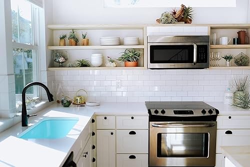 Miniatura 7 de Air Plant Shop Terrario de cápsulas con musgo y plantas de aire Tillandsia - Venta al por mayor y a granel - Suculentas - Tillandsia viva - Plantas