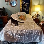 Review Image by NaviArya NaviArya