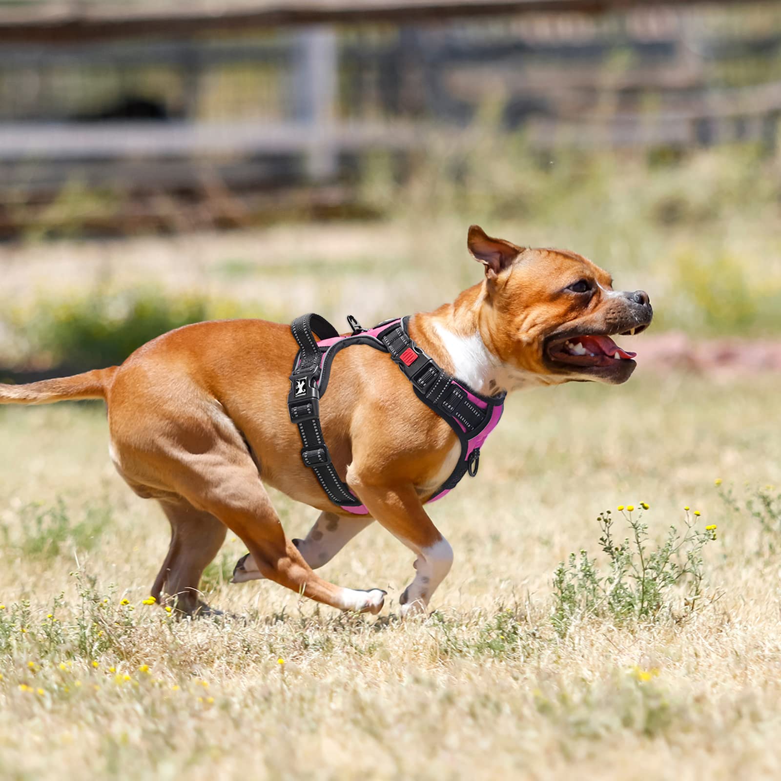 PoyPet No Pull Dog Harness with Neck Release Buckle, Reflective No-Choke Harness with 2 Leash Clip - Image 2