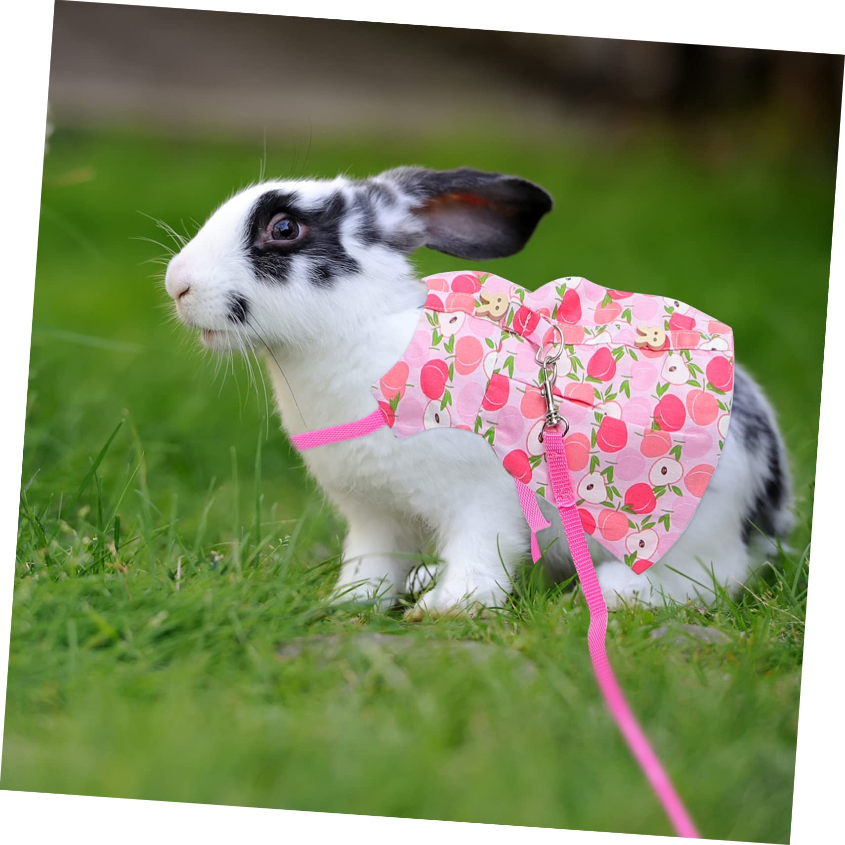 minkissy 6sätze Kaninchen Geschirr Mit Leine Teiliges Für Kleintiere Atmungsaktives Und Leichtes Design Für Ausflüge Und Fotoshootings Bezaubernden Farben Erdbeere Ananas