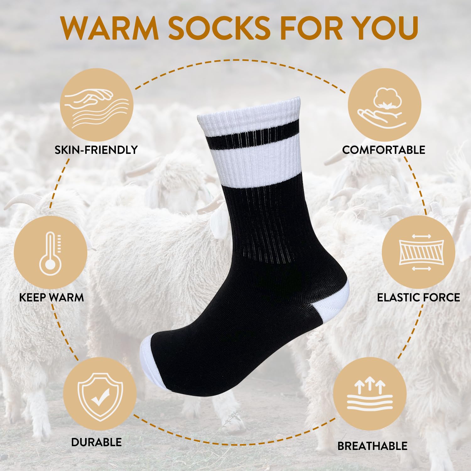 Funny Socks for Women Men - PEteacher