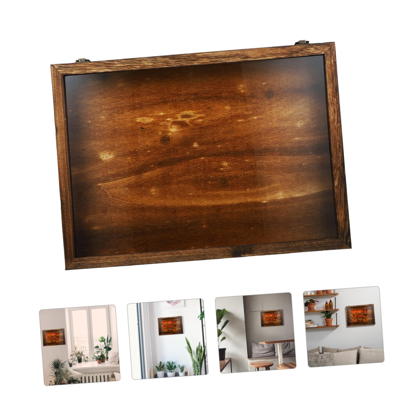 Cabilock Caja de Exhibición de Insectos Vitrina de Madera para Colgar Tapa Transparente Caja de Almacenamiento para Especímenes de Insectos Mariposas y Flores Secas
