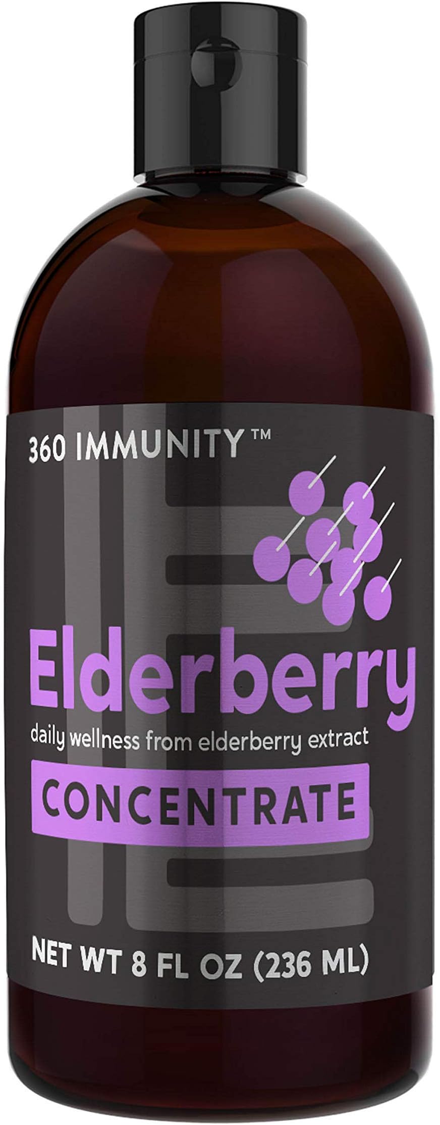 Elderberry Concentrate, 360 Immunity, 8 fl oz | Daily Wellness from European Elderberry Extract