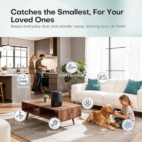 Miniatura 4 de Purificadores de aire para oficina con filtro H13 True HEPA de hasta 1076 pies cuadrados para familia de mascotas, polen, humo, limpiador de aire