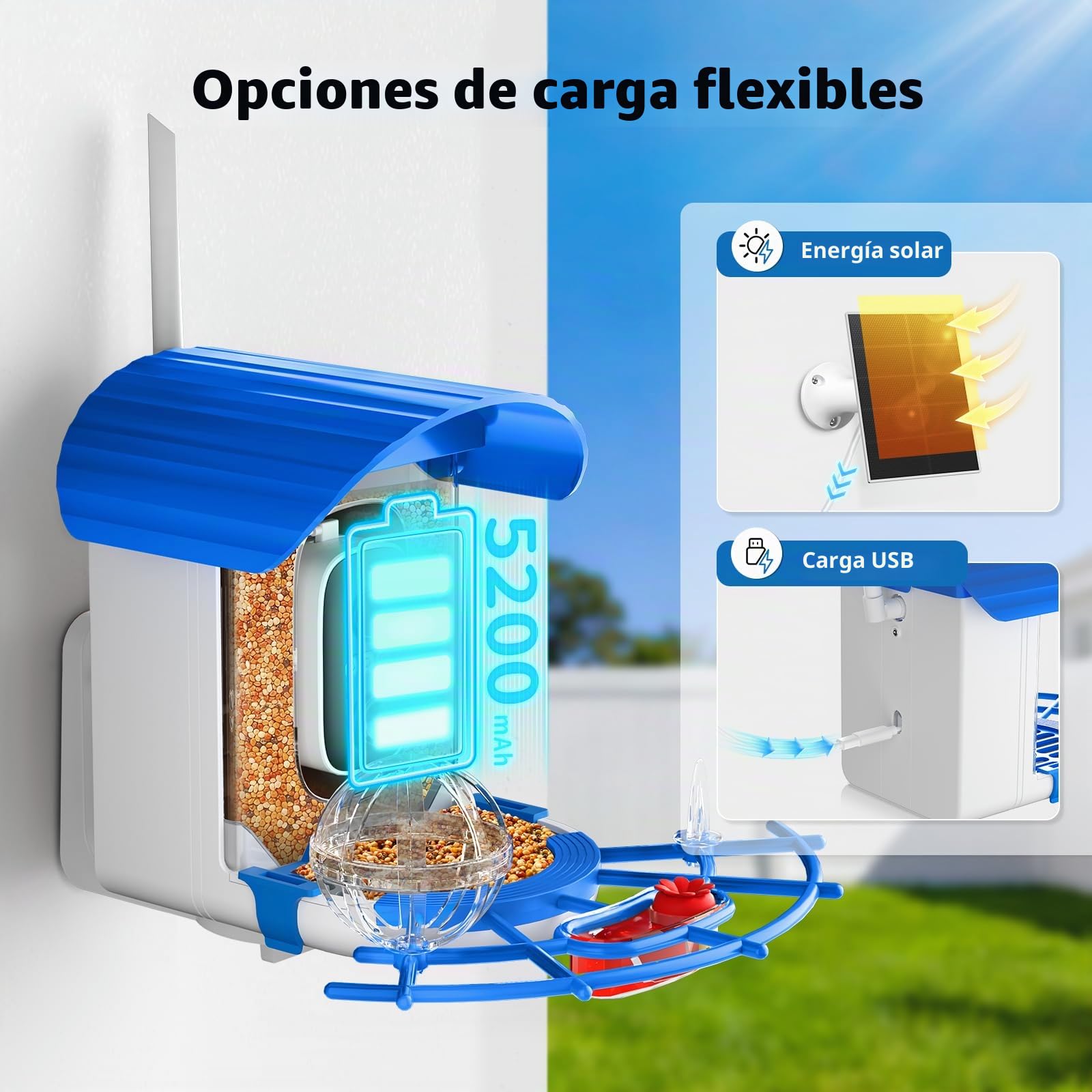 NIORSUN Comedero para Pájaros con Cámara 2K HD, Energía Solar, Reconocimiento IA de Aves, Visión Nocturna en Color, Notificación Instantánea & Grabación Automática | IP65 | 5200mAh | WiFi 2.4 GHz