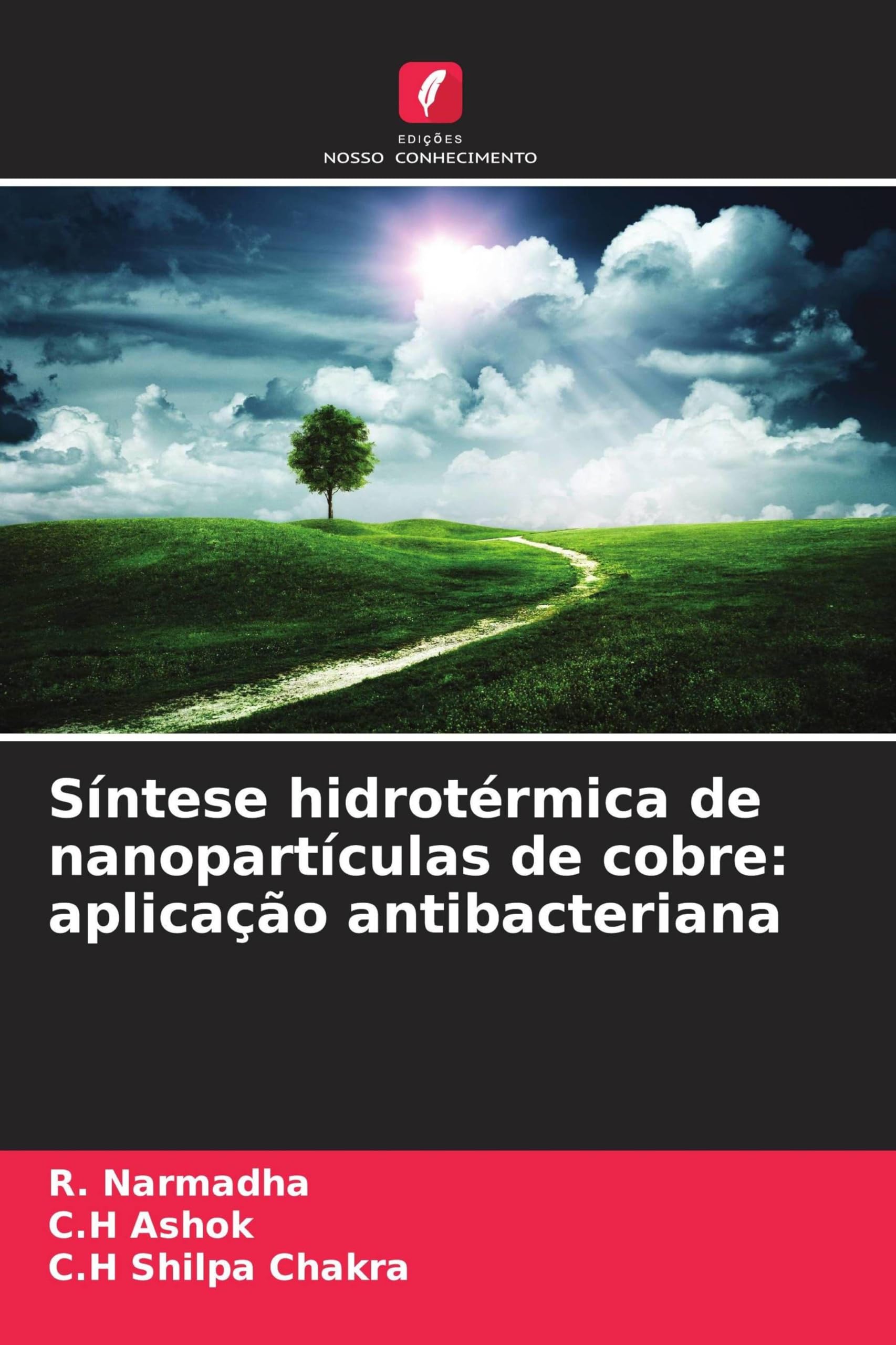 Síntese hidrotérmica de nanopartículas de cobre: aplicação antibacteriana