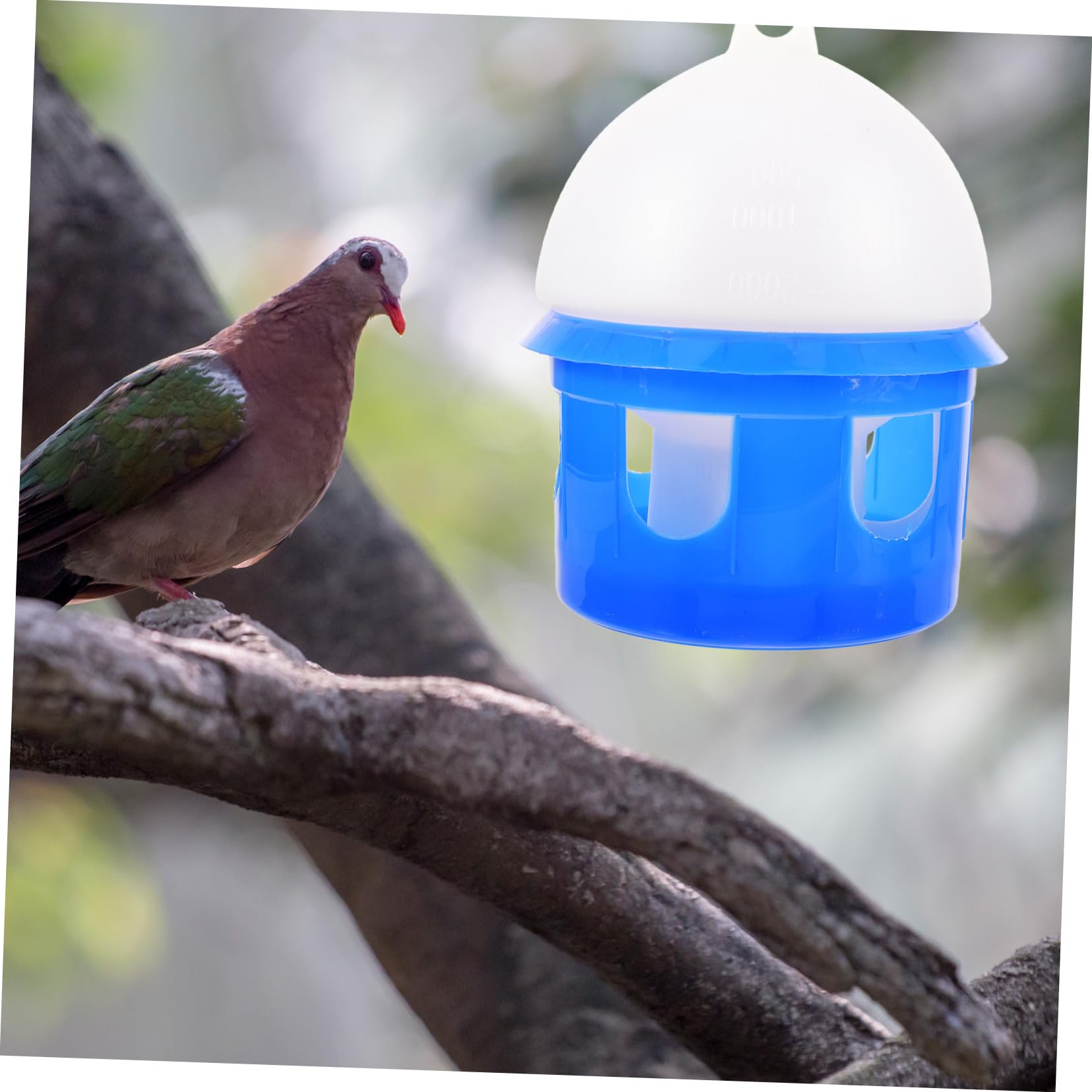 Bebedero Automático para Dispensador De Agua para Pájaros Comedero para para Jardín o Terraza