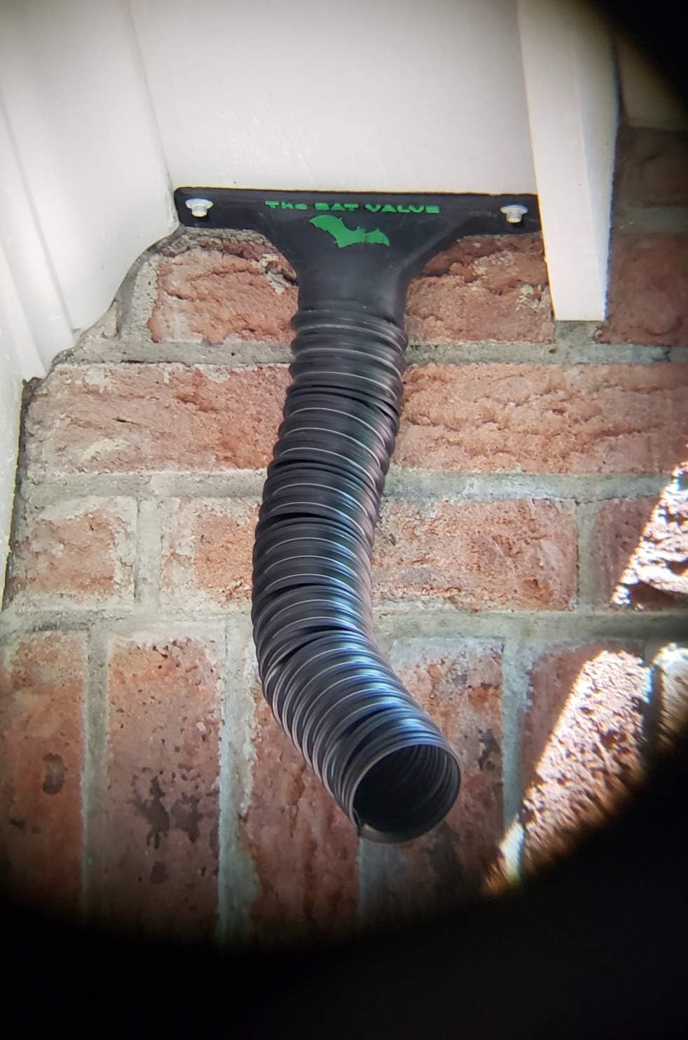 The Bat Valve | TBV-FR4 | Bat Removal Device to Get Rid of Bats | Best Bat Cone | One-Way Bat Door for Permanent Bat Removal out of your House