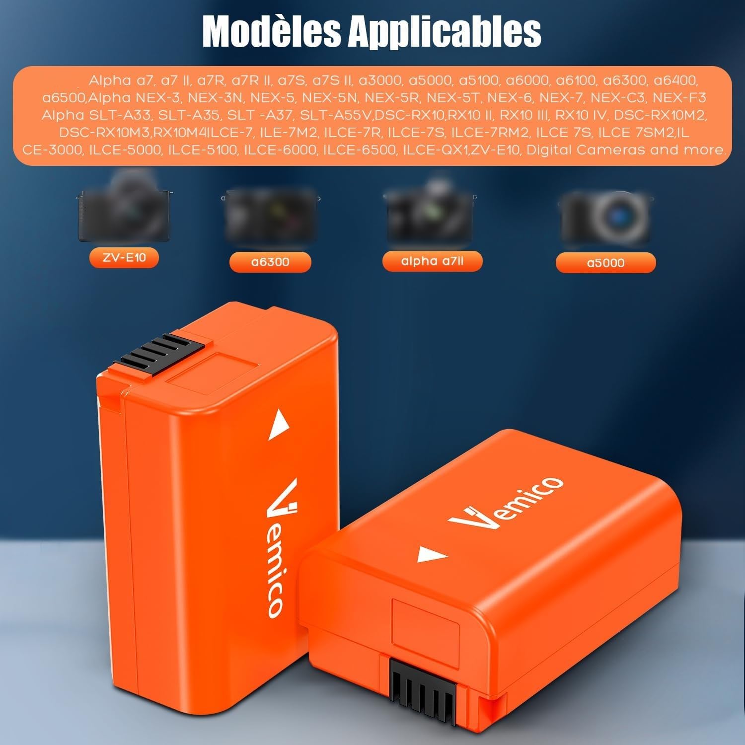 Vemico NP-FW50 Batterie Chargeur 2 Pack 1200mAh avec Double Fente Chargeur LCD Type-C pour ZV-E10 A7 A7ii A7rii A6000 A6500 A6400 A6300 A5100 A5000 RX10 A55 Nex Série 3/5/6/7 Série SLT-A