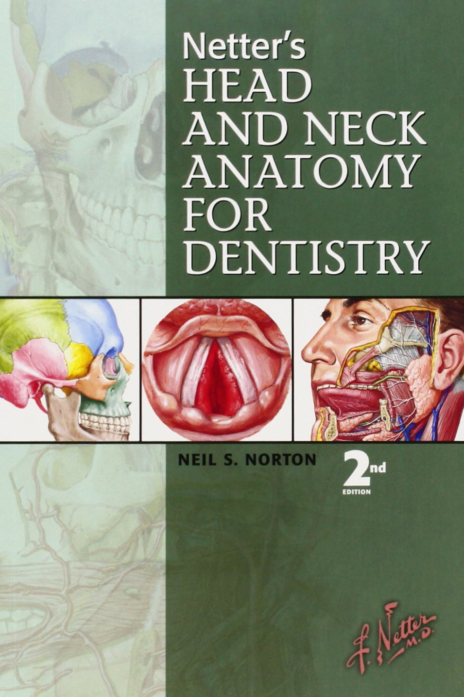 Netter's Head and Neck Anatomy for Dentistry: Amazon.co.uk: Norton ...