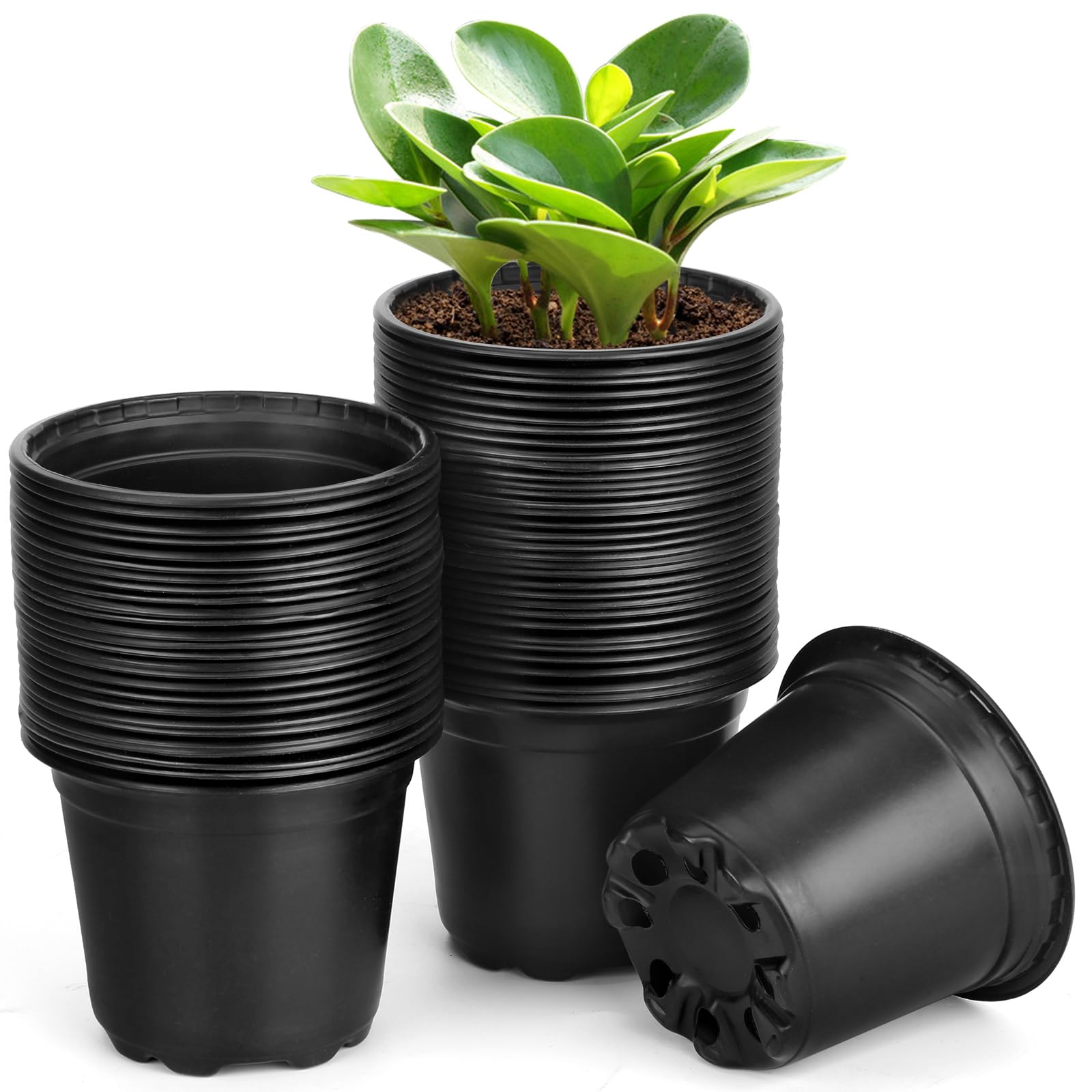 Amazon.com: DUNPUTE 60 Pack 5 Inch Nursery Pots for Plants, Plastic Seeds  Starter Pots with Drainage Holes, Small Plastic Plant Nursery Pots for  Succulents Seedling Cutting Transplanting (60, 5 Inch) : Patio, Lawn &  Garden