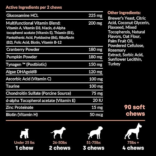 Miniatura 7 de Kayode Daily Multi - Multivitamínico y superalimento masticable para perros. Llena los huecos de nutrientes. Ayuda a las articulaciones, la
