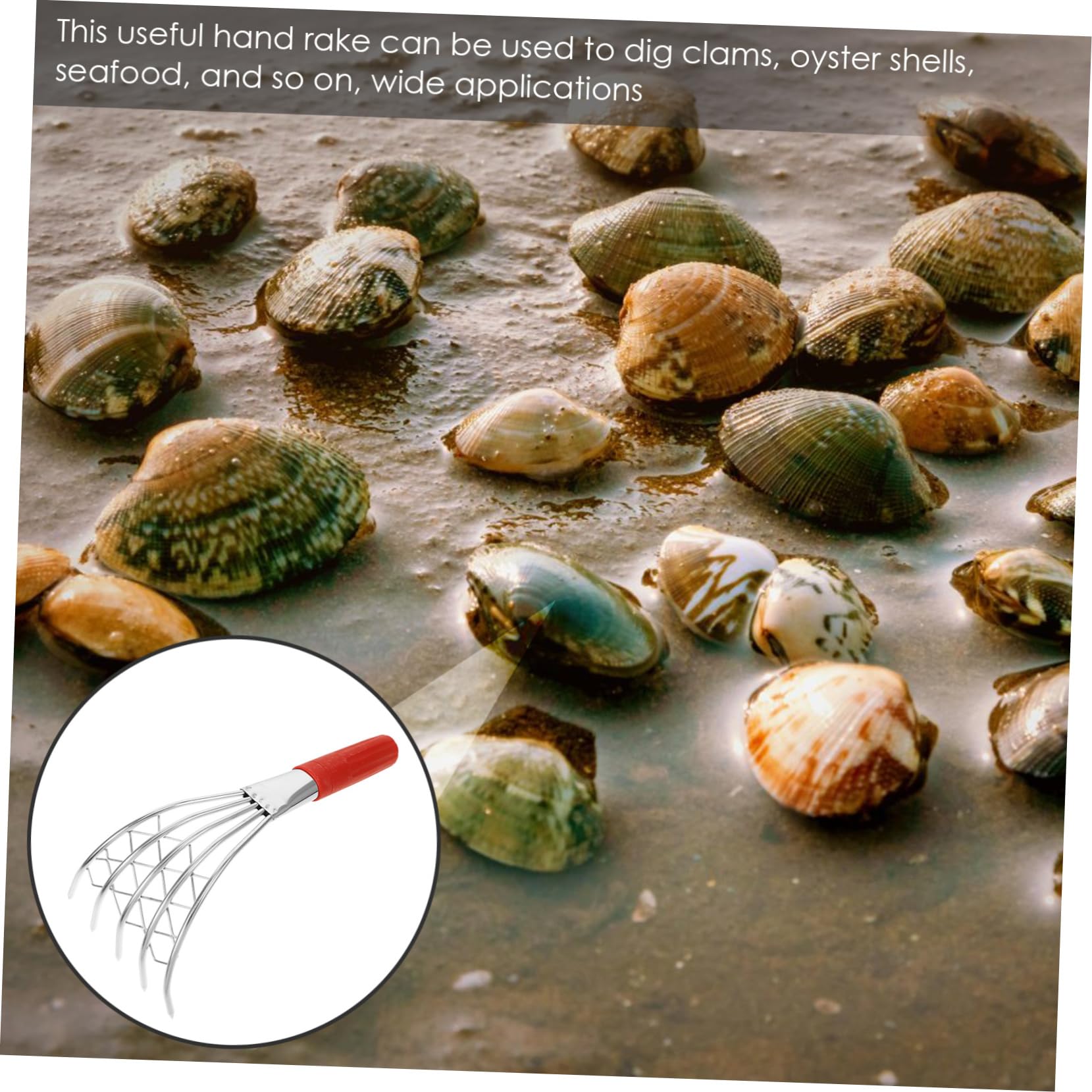 HEMOTON 3 Stück Handrechen für Muschelsuche Claw Rake mit Rutschfestem Werkzeug zum Graben von Muscheln und Meeresfrüchten Am Strand Robust Handhaben