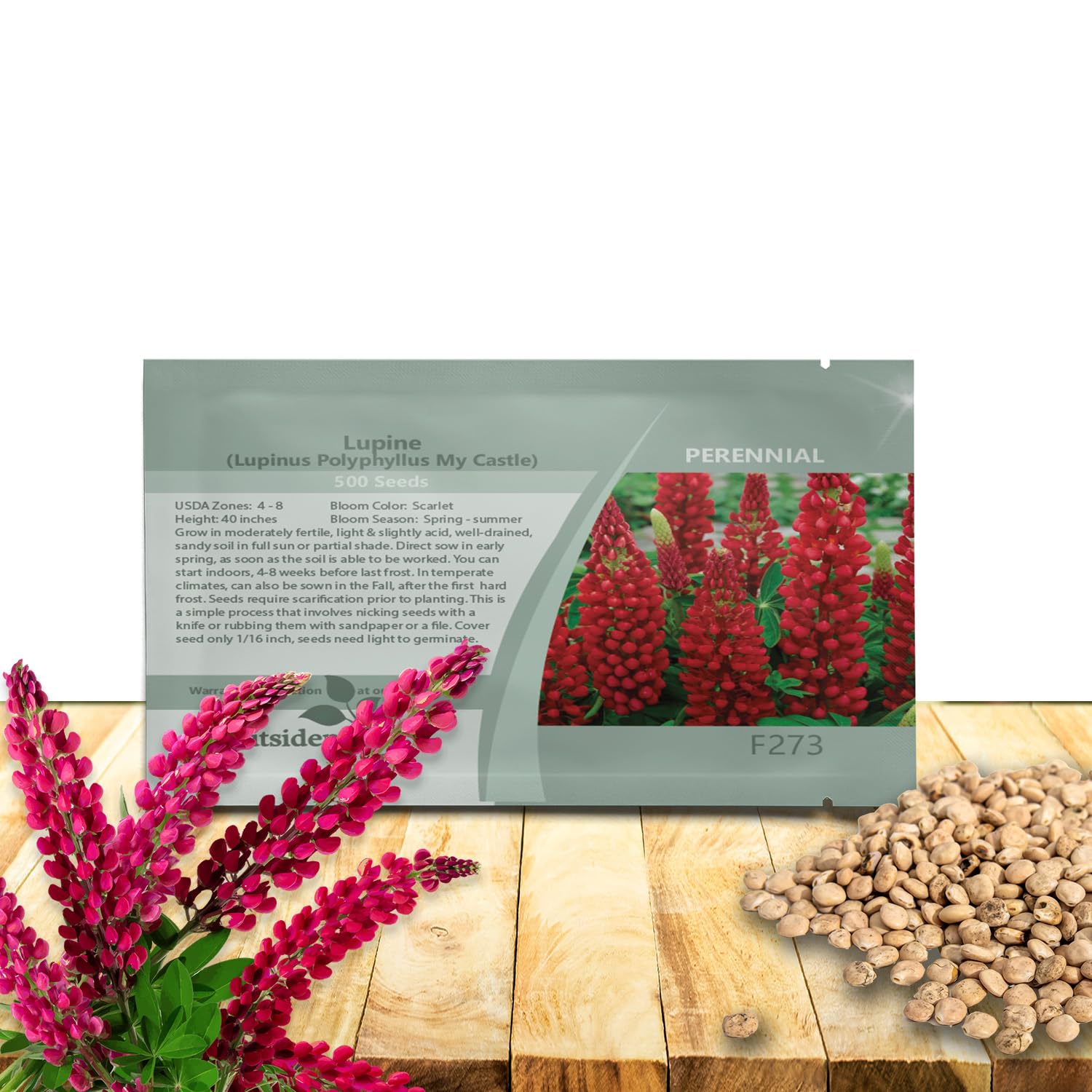 Amazon.com : Outsidepride My Castle Red Russells Lupine Seeds