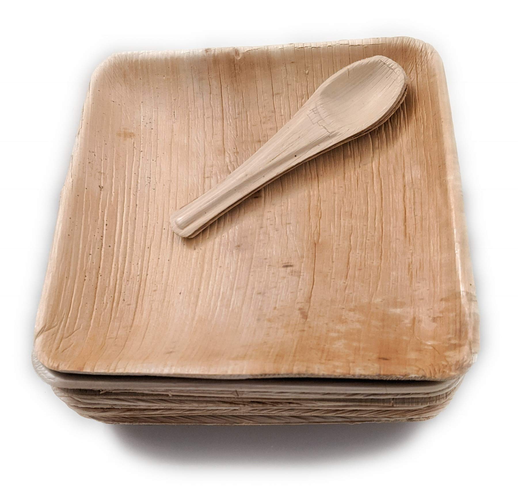 Bio Box Eco Products 25 Pieces of 10" Square Plate and 6" Design Spoon Areca Palm Leaf Biodegradable Disposable Set, 25 Pieces Each