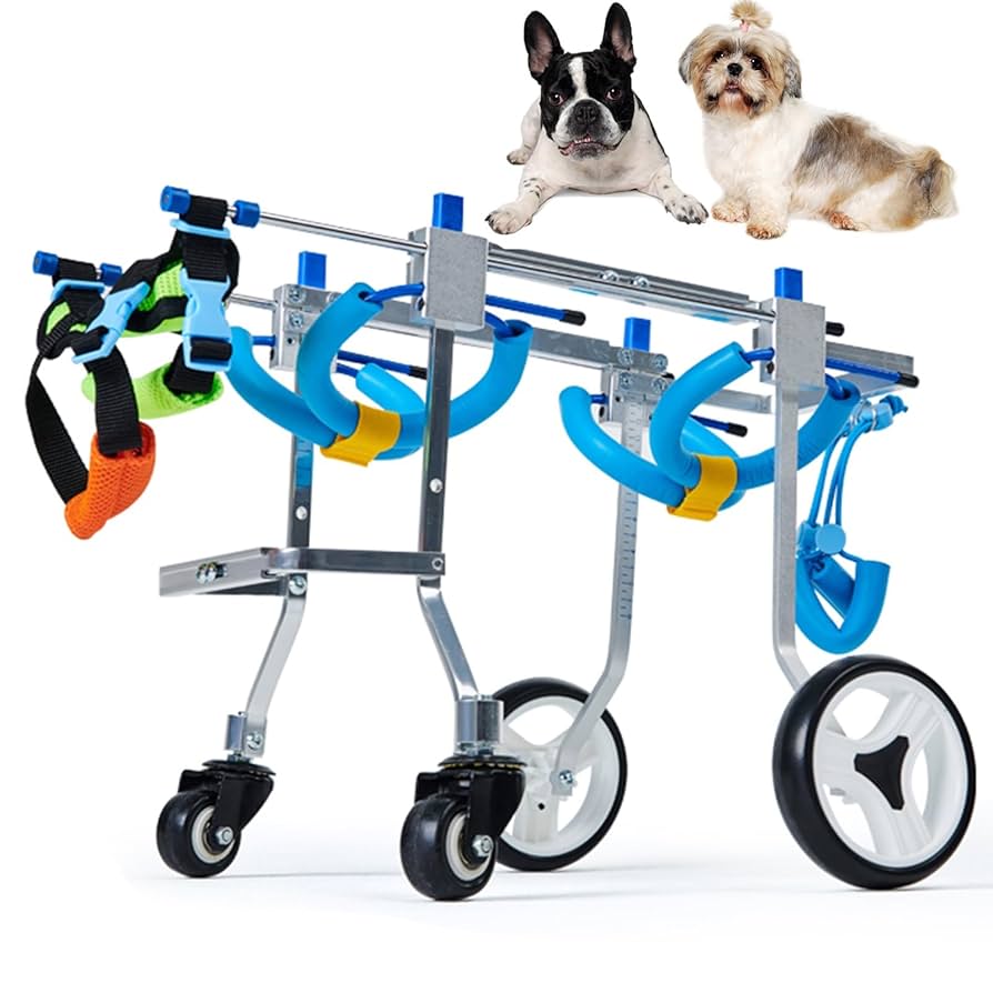 Amazon.co.jp: 4輪ペット車椅子アルミニウム、麻痺後足用大型