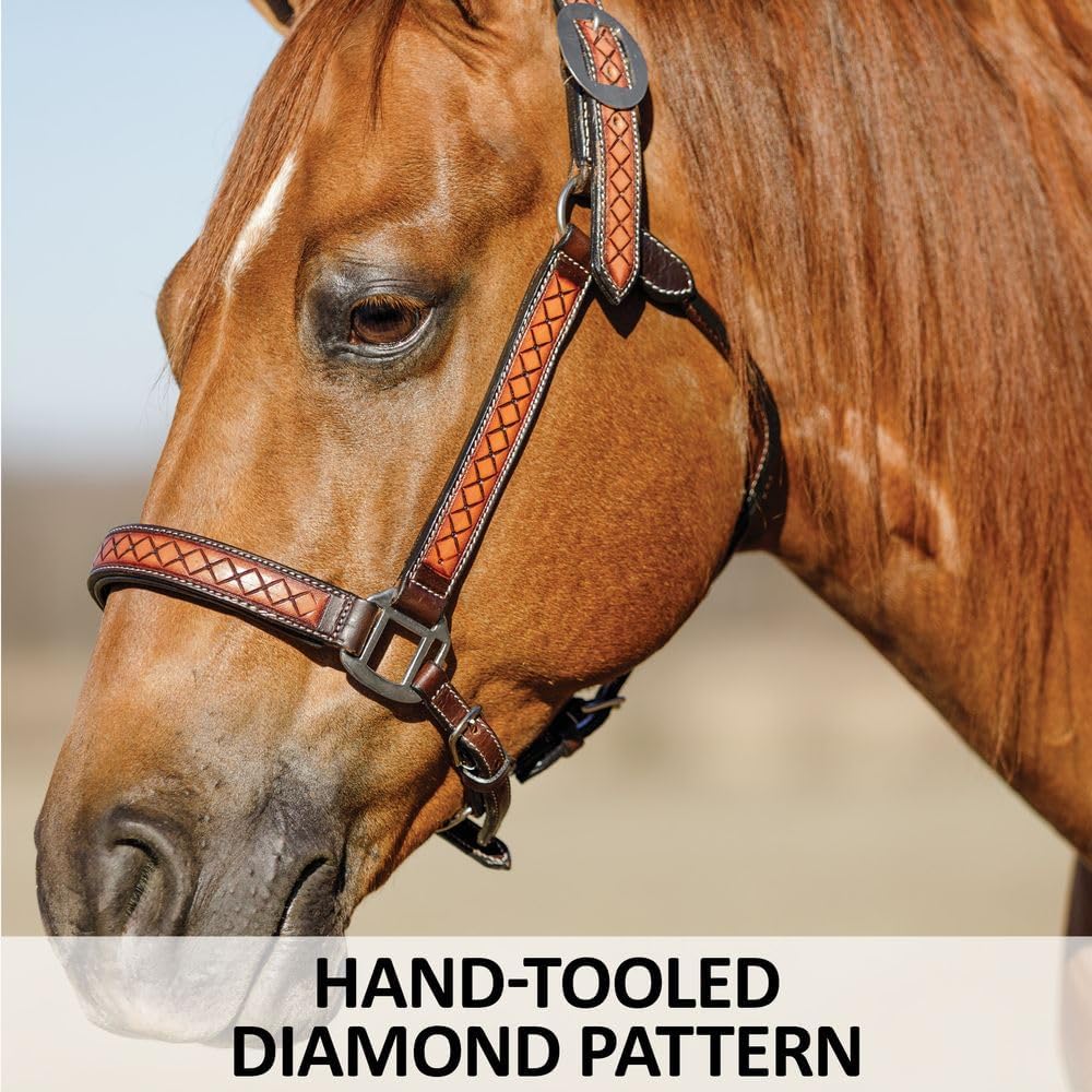 Schneiders Tooled Diamond Padded Leather Ranch Halter for Horses | Hand-Tooled Diamond Design | Argentine Leather | Semi-Custom Adjustable Fit | Padded for Comfort