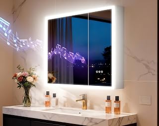 LUVODI LED Mirror Medicine Cabinet: Double-Door, Rectangle 31.5x27.6 inches