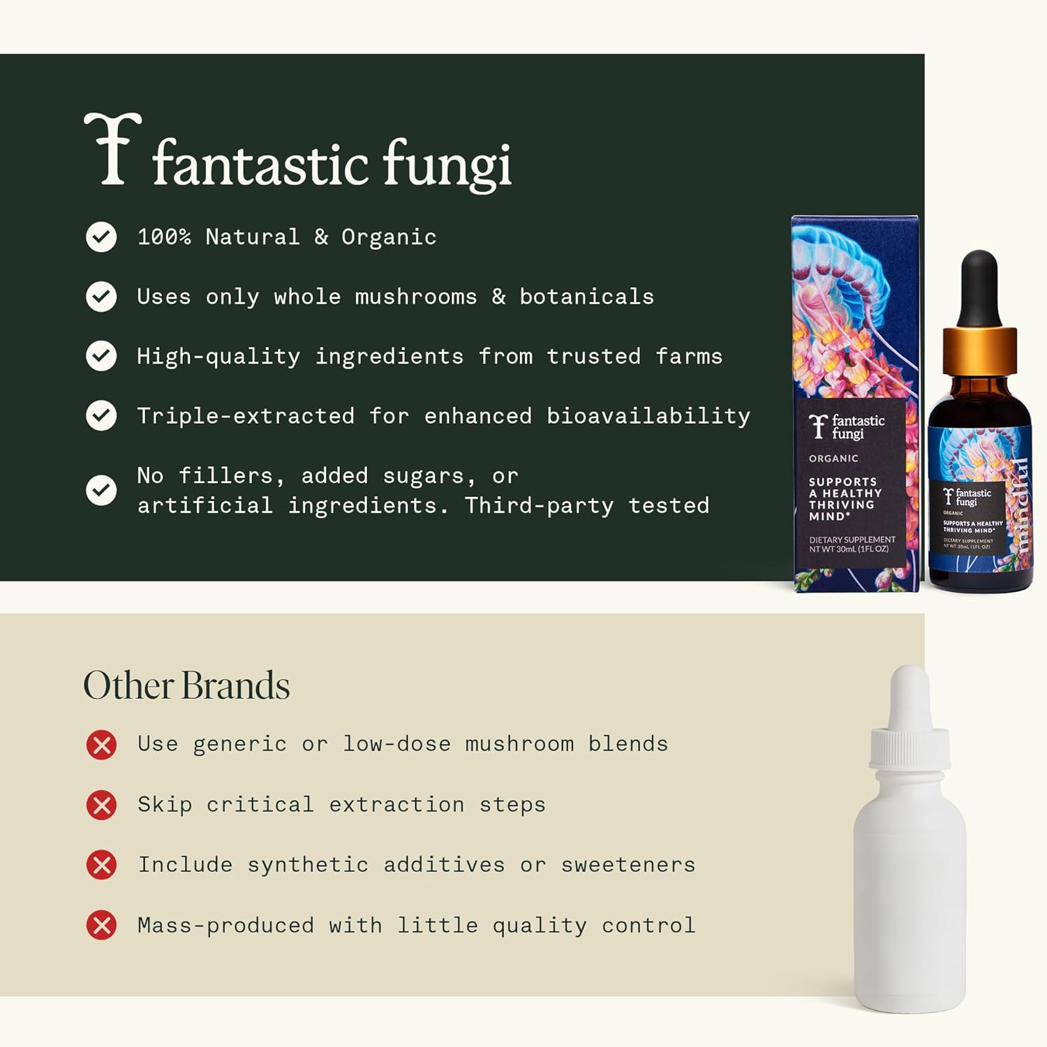 Fantastic Fungi Organic Mushroom Tincture - Mindful Elixir with Lions Mane Mushroom Extract, Bacopa & Ginkgo Leaf - Drops for Focus, Clarity & Memory Support - Formulated in USA, 30 Servings, 1 fl oz