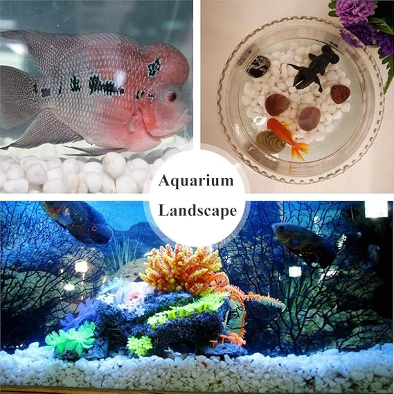Aquarium Decorative Sands White Gravel Pebbles, 2 Pounds
