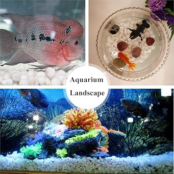 Aquarium Decorative Sands White Gravel Pebbles, 2 Pounds