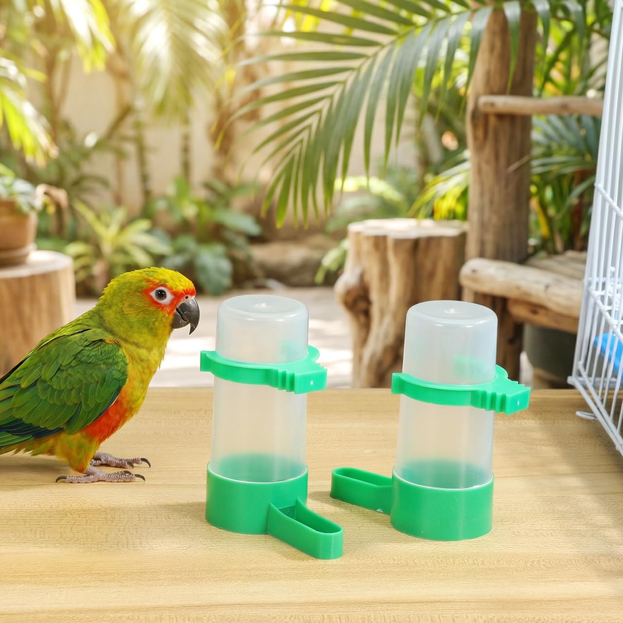Hohopeti Distributeur d'eau Automatique pour Oiseaux en Cage 10 Pièces Abreuvoir pour Perroquets Et Pigeons Anti-Gaspillage 60Ml Bec Incliné Fixation Universelle en Plastique Abs Robuste