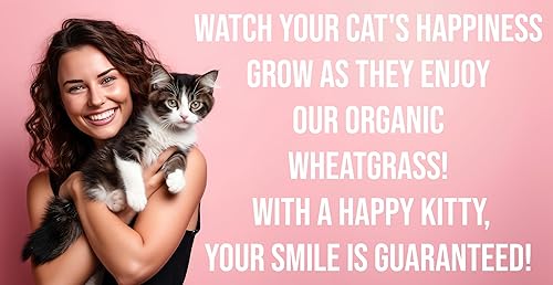 Miniatura 5 de Maceta ornamental de interior con kit de cultivo de hierba para mascotasgatos, hecha a mano en los Estados Unidos de cedro rojo (AgedWash)