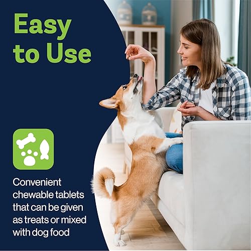 Miniatura 7 de LVL Up Pup - Suplemento para articulaciones de perros mayores - Suplemento de cadera y articulaciones para perros con glucosamina, condroitina, MSM